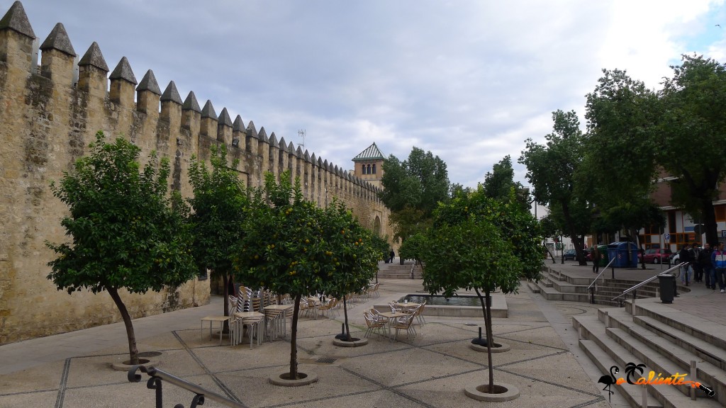 P1030806 (2)
